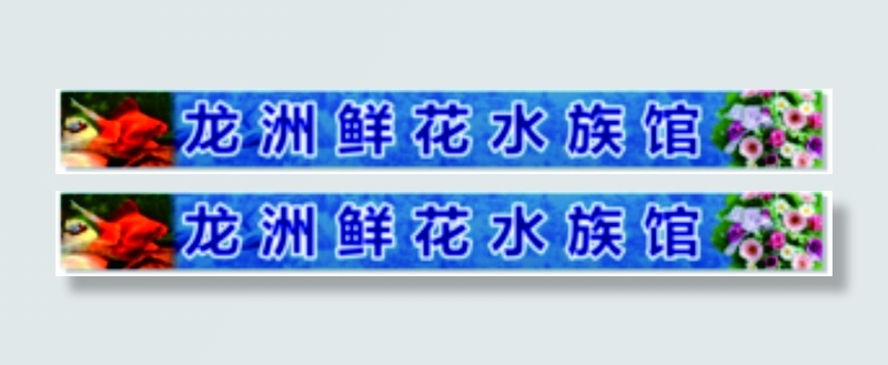 蓝色海洋水族鲜花馆门头cdr矢量模版下载