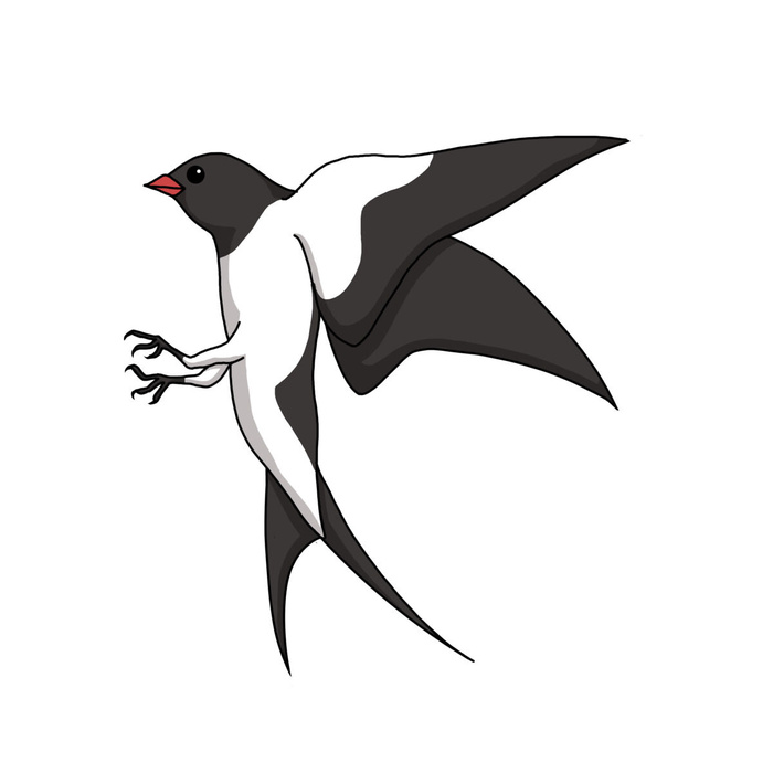 水彩手绘春季春天柳树柳条枝条小鸟小燕子元素PSD设计素材PNG图片