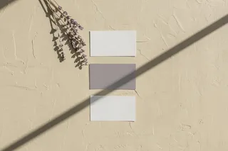 文艺光多张名片样机