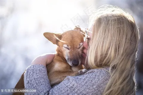 金发美女亲吻宠物狗狗摄影图片 金发美女亲吻宠物狗狗摄影图片