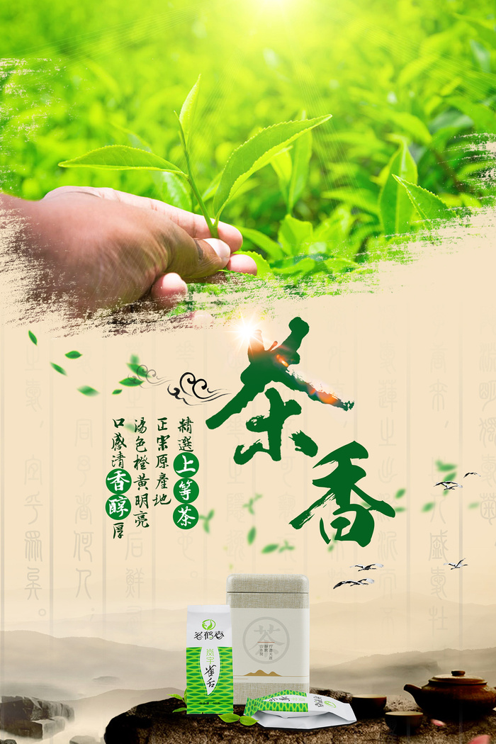 茶叶茶香春茶上市海报设计psd模版下载