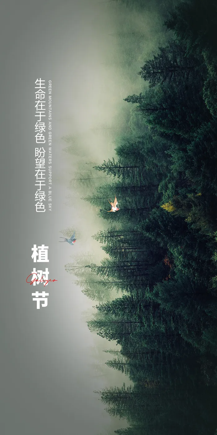 植树节海报PSD素材psd模版下载