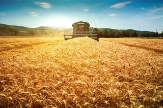 蓝天白云和稻田收割机田园风光