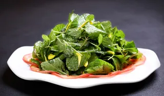 L01406开胃食香菜 (2)