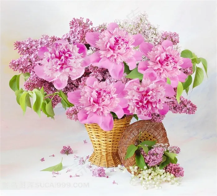 玫瑰鲜花图案素材
