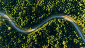 森林 公路 山地 背景 海报 壁纸