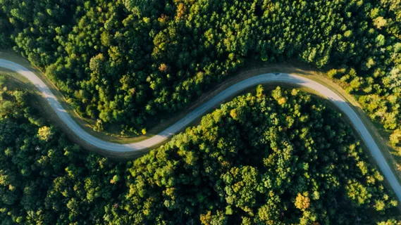 森林 公路 山地 背景 海报 壁纸 森林 公路 山地 背景 海报 壁纸