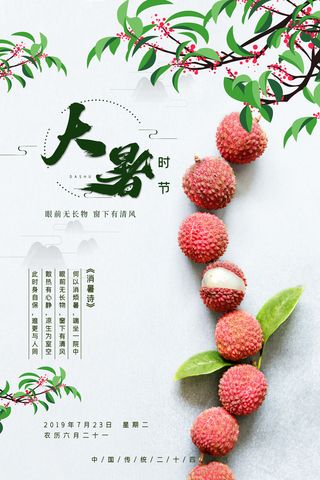 传统节日大暑海报