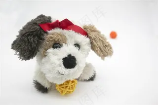 带红丝带的可爱狗狗