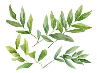 绿叶植物树叶茶壶免抠