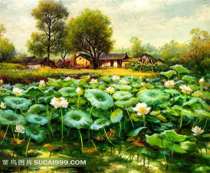 荷花风景艺术图片