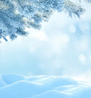 美丽的雪景冬天高清