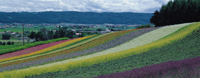 J147-67-大幅风景60