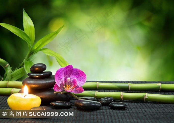 养生SPA美容素材