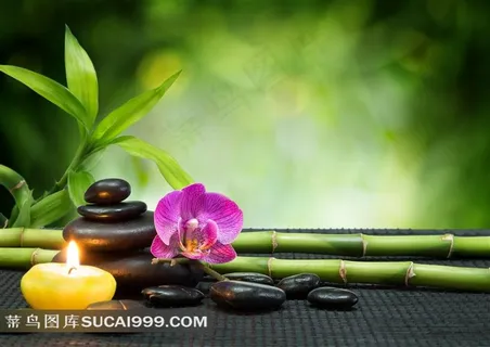 养生SPA美容素材