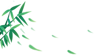 绿色卡通手绘竹子竹叶竹竿端午节粽子元素PNG素材 