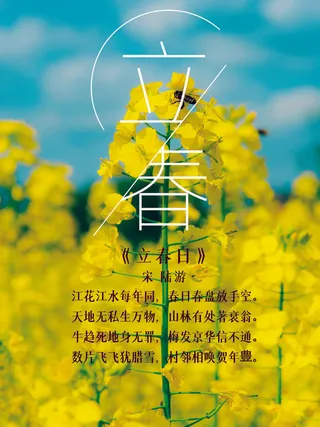 24节气立春春季新春春天海报模板PSD分层设计素材源文件模板