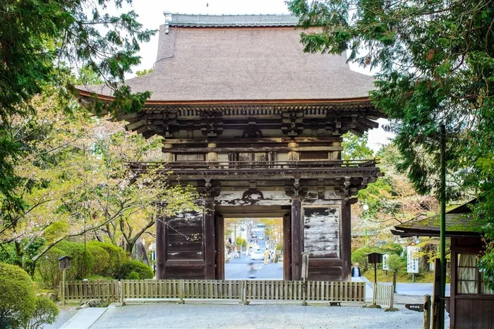 美丽的日本浅草寺景色大图