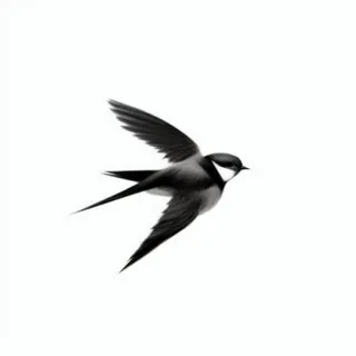 燕子png免抠