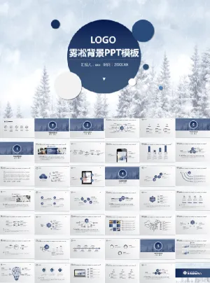 雾凇公司数据汇报PPT模板预览图