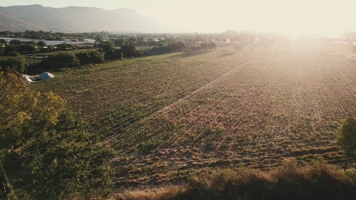 农业领域的鸟瞰图