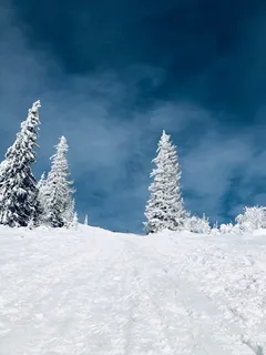 厚厚的积雪图片 厚厚的积雪图片