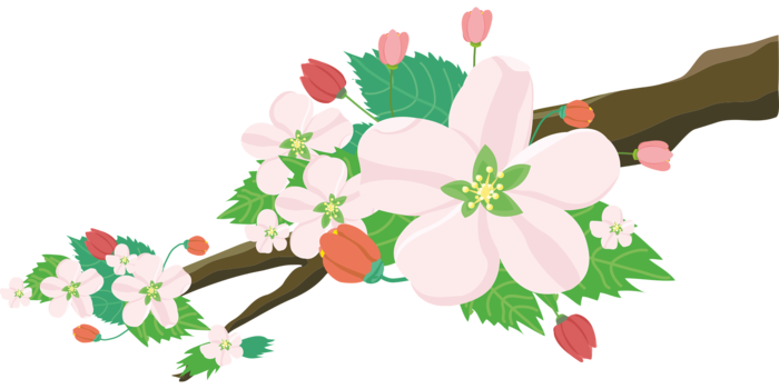 花朵、花卉壁纸、苹果图片ai矢量模版下载