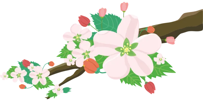 花朵、花卉壁纸、苹果图片ai矢量模版下载