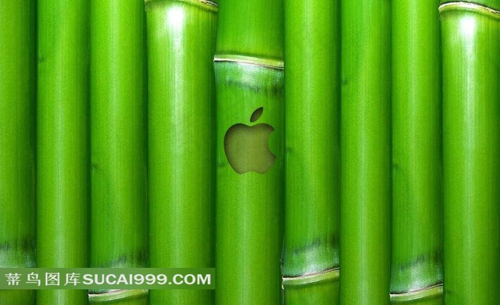 竹子上的苹果标志图片