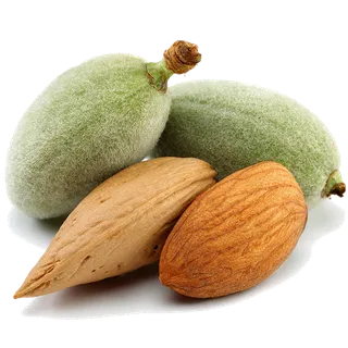 巴旦木 (5)干果超市商品白底图免抠实物摄影png格式图片透明底