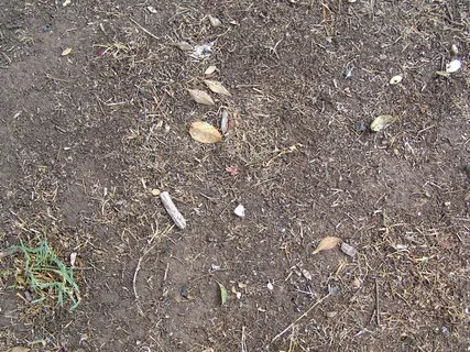 泥土地面背景图片 泥土地面背景图片