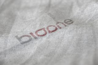 LOGO展示效果样机