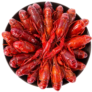 免抠图小龙虾 