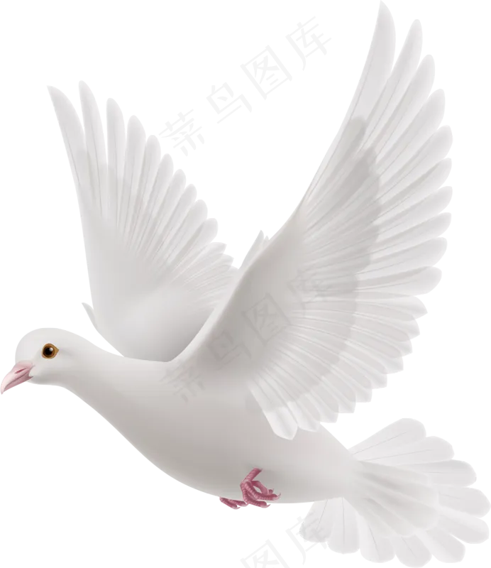 飞翔的白鸽鸟元素