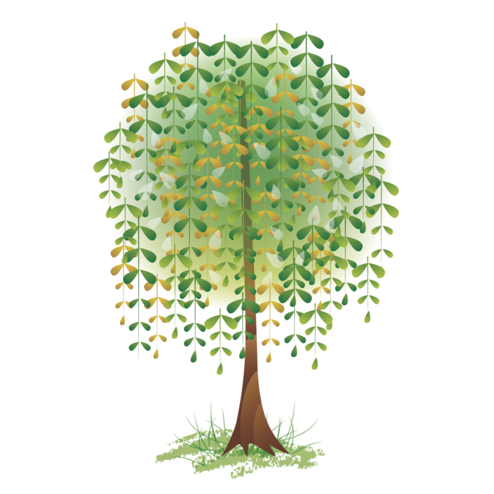 春天绿色春季水墨柳树柳条柳叶春季海报设计PNG免扣素材