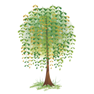 春天绿色春季水墨柳树柳条柳叶春季海报设计PNG免扣素材