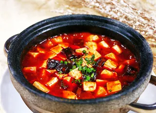 DJCXCL-6129麻婆豆腐烩辽参