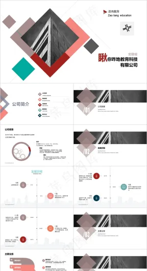 公司简介  介绍  排版