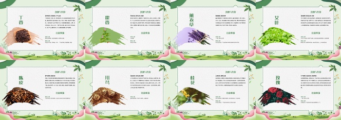 中药介绍海报cdr矢量模版下载