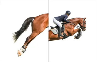 两联皇马人物装饰