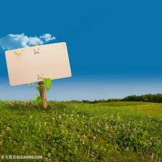 草地上的路标指示牌高清图