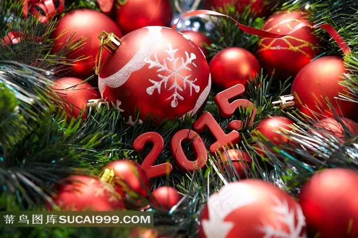 2015系列 - 精致美丽的圣诞2015