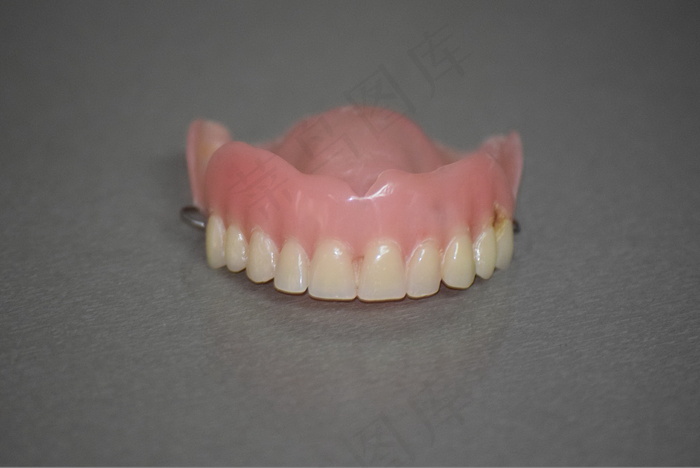 真实牙齿模型图片