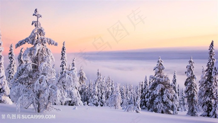 黄昏雪景风景画壁纸