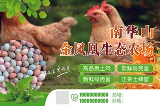 天然农场养鸡场土鸡蛋海报