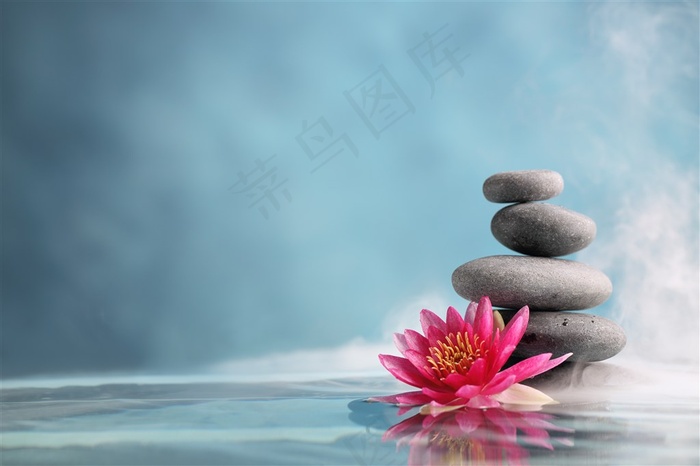 睡莲与鹅卵石高清图