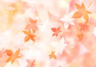 图片设计素材背景鸟语花香