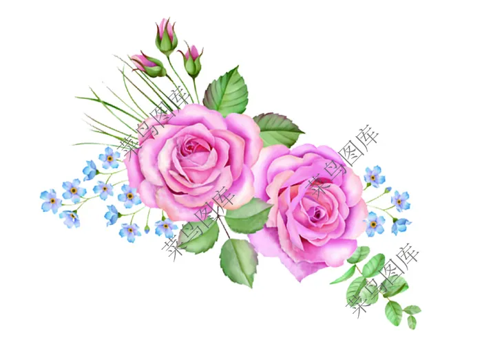 花朵高清图-真花psd模版下载