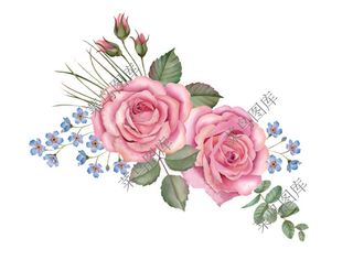 花朵高清图-真花