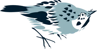 简约风手绘素描动画小鸟鸟儿免扣PNG图片素材 (86)